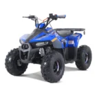 Tao Motor Rival Mudhawk 6 youth ATV