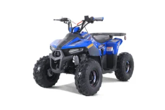 Tao Motor Rival Mudhawk 6 youth ATV