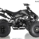 PPS-819-003-APOLLO-BLAZER9-125CC-ATV-4__89435__43985.1568619501.webp