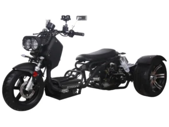Ice Bear Maddog PST50-19N 50cc trike