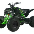 Pentora-200-EFI-002-2-1.webp