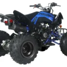 Pentora-200-EFI-007-7.webp