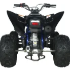 Pentora-200-EFI-010-10.webp
