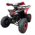 RACER-125cc-004-2.webp