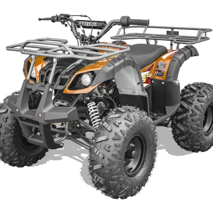 RIDER-9-125cc-006-6-10-scaled-1.webp RIDER-9-125cc-006-6-10-scaled-1.webp