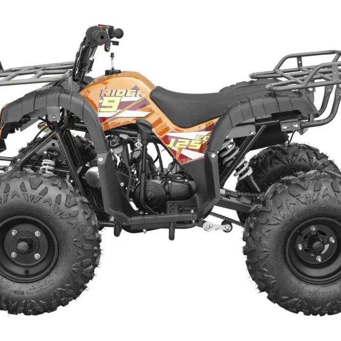 RIDER-9-125cc-025-image-13-1-scaled-1.webp RIDER-9-125cc-025-image-13-1-scaled-1.webp