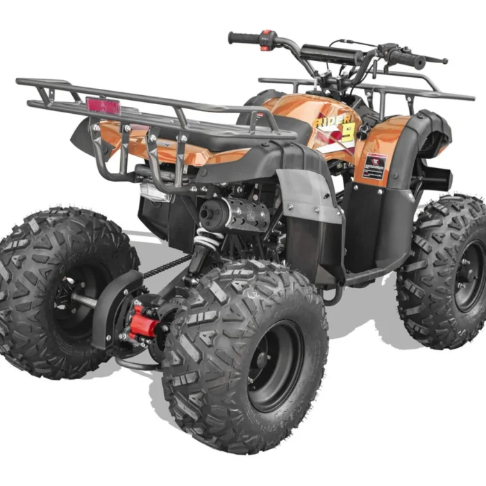 RIDER-9-125cc-033-image-21-scaled-1.webp RIDER-9-125cc-033-image-21-scaled-1.webp