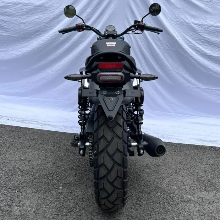 RPS-250-CRUISER-006-6-17.webp