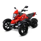 Massimo Spider 200 trike