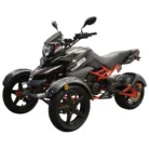 SPIDER-TRIKE-200CC-002-2-6.webp