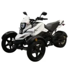 SPIDER-TRIKE-200CC-003-3-6.webp