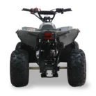 SY125-005-4-1.webp