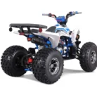 TAO-120-NEW-CHEETAH-PLATINUM-005-4-67-scaled-1.webp