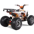 TAO-120-NEW-CHEETAH-PLATINUM-011-10-40-scaled-1.webp