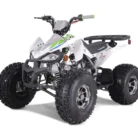 TAO-120-NEW-CHEETAH-PLATINUM-012-11-40-scaled-1.webp