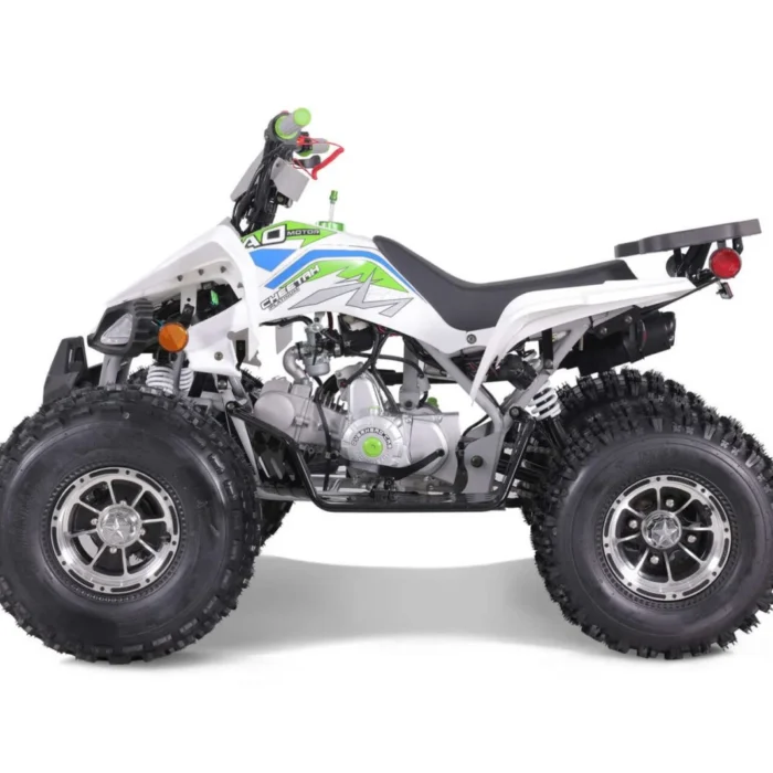 TAO-120-NEW-CHEETAH-PLATINUM-013-12-36-scaled-1.webp