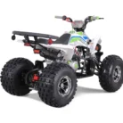 TAO-120-NEW-CHEETAH-PLATINUM-014-13-32-scaled-1.webp