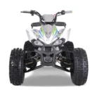 TAO-120-NEW-CHEETAH-PLATINUM-015-14-32-scaled-1.webp