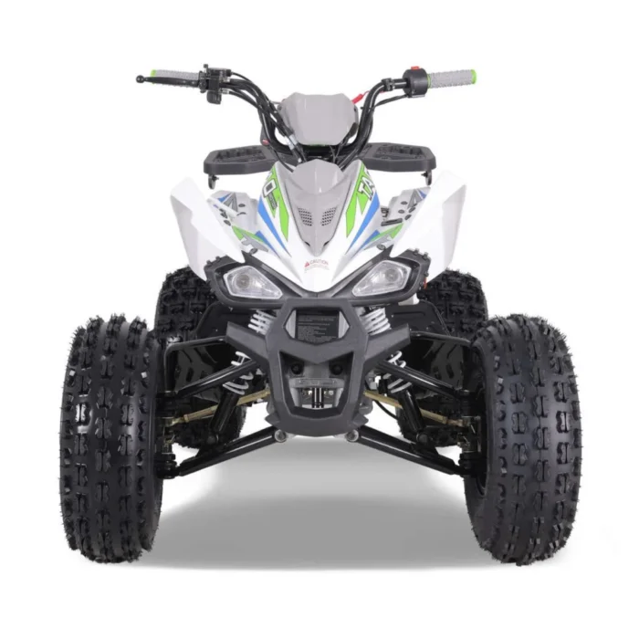 TAO-120-NEW-CHEETAH-PLATINUM-015-14-32-scaled-1.webp