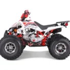 TAO-120-NEW-CHEETAH-PLATINUM-016-16-32-scaled-1.webp