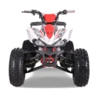 TAO-120-NEW-CHEETAH-PLATINUM-017-17-29-scaled-1.webp