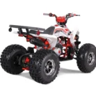 TAO-120-NEW-CHEETAH-PLATINUM-018-18-29-scaled-1.webp