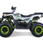 TAO-MOTOR-G200-ATV-009-9-45.webp