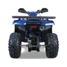TAO-MOTOR-G200-ATV-011-11-42.webp