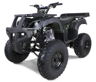 Tao Motor Rhino 250 utility ATV