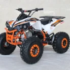 TM-C125-005-TM-C125-27.webp