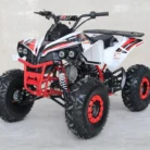 TM-C125-007-TM-C125-43.webp