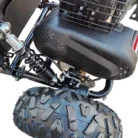 TM-CHEETAH-3-014-15-11.webp
