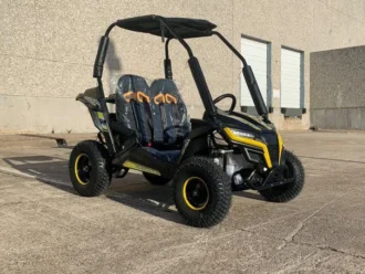 Trailmaster Cheetah 6 Youth Go-Kart, 163cc Engine, 4-Stroke Single Cylinder, Air Cooled, Remote Start/Kill