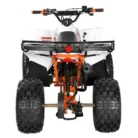 TM-F125-019-F125016_1024x1024.webp