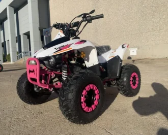 Trailmaster N110 Youth Off-Road ATV, 110cc Engine, 4-Stroke, 1-Cylinder, Air Cooled