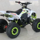 TM-N110-004-N110-ATV-3.webp