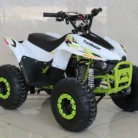 TM-N110-006-N110-ATV-5.webp