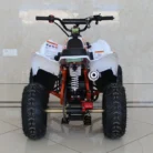 TM-N110-007-N110-ATV-6.webp
