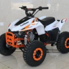 TM-N110-010-N110-ATV-9.webp