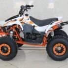 TM-N110-011-N110-ATV-10.webp