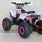 TM-N110-012-N110-ATV-11.webp