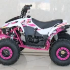 TM-N110-013-N110-ATV-12.webp