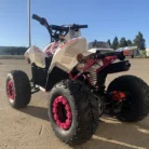 TM-N110-019-N110-ATV-19.webp