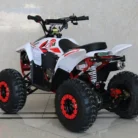 TM-N110-021-N110-ATV-21.webp