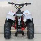 TM-N110-022-N110-ATV-22.webp