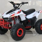 TM-N110-023-N110-ATV-23.webp