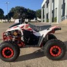 TM-N110-029-N110-ATV-29.webp