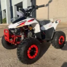 TM-N110-031-N110-ATV-31.webp