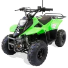 TM-T110-003-3-1.webp