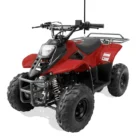 TM-T110-004-4.webp